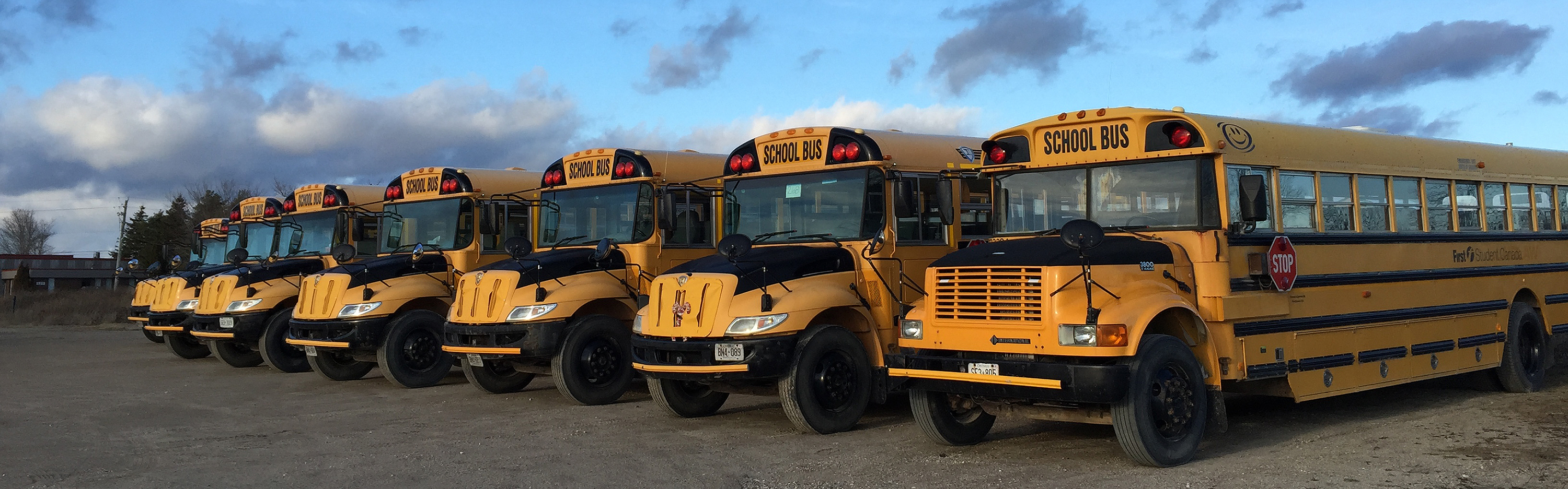Yellow school buses parked in a row