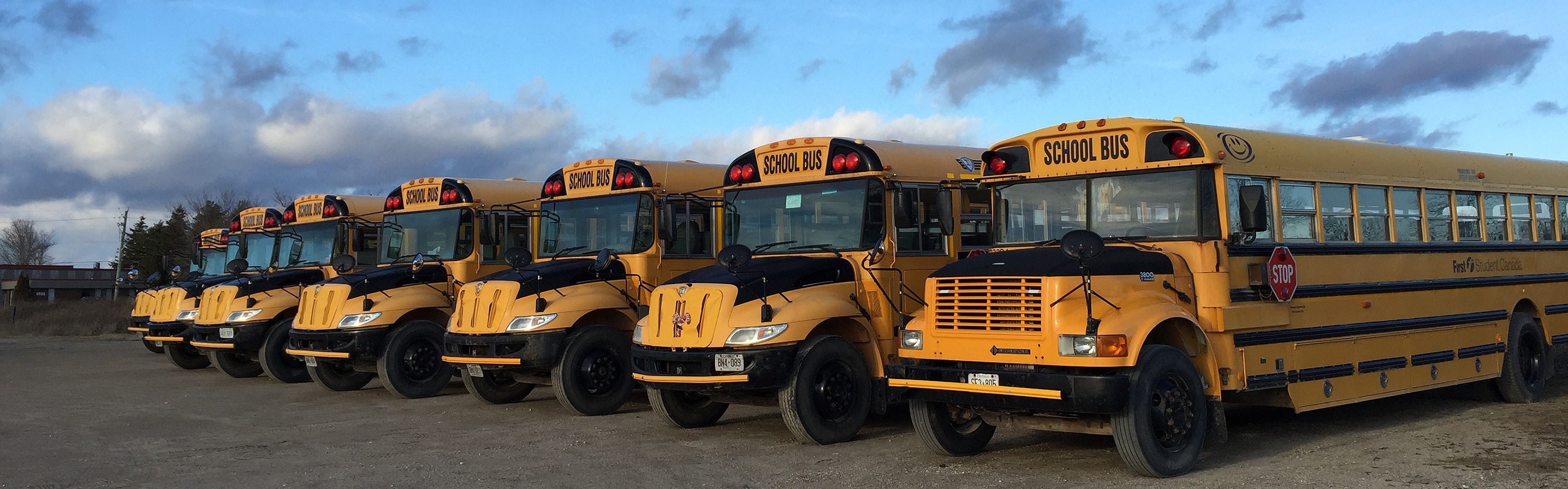Several yellow school buses are parked next to each other in a parking lot.