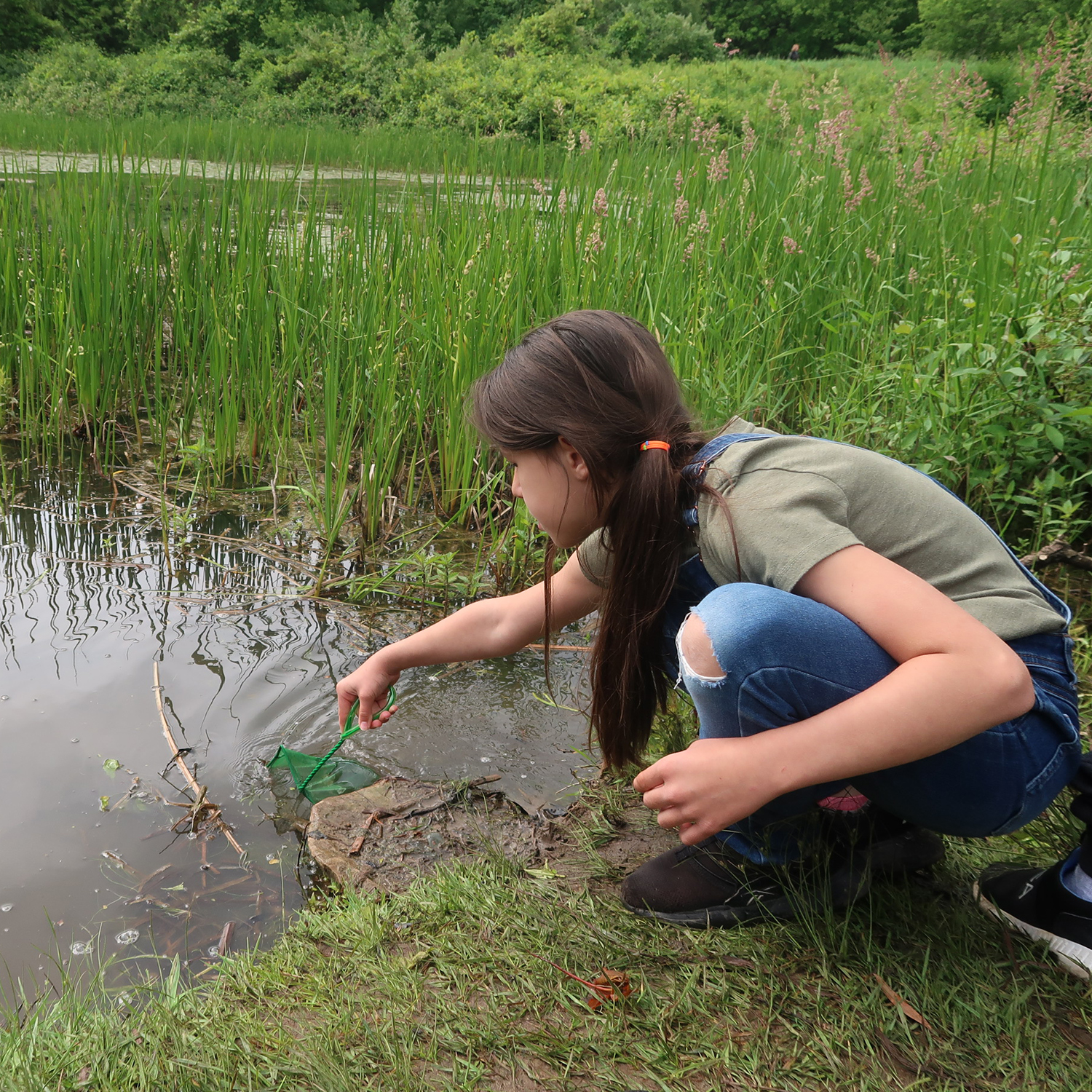 A student kneels down by a wetland to gather a water sample.