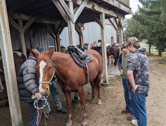 Students standing with horses on a farm.