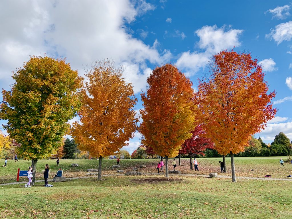 school play ground