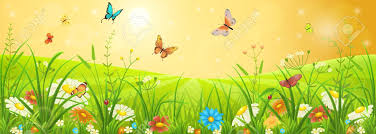 spring butterflies