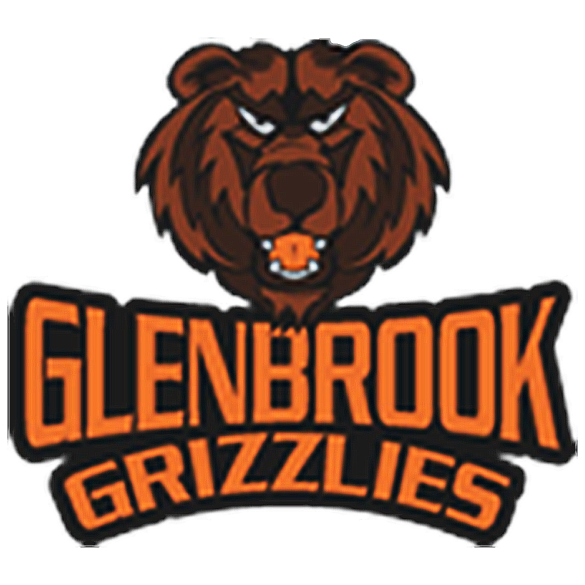 Our School Glenbrook Elementary School