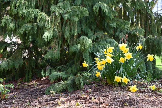 Spring has Sprung!