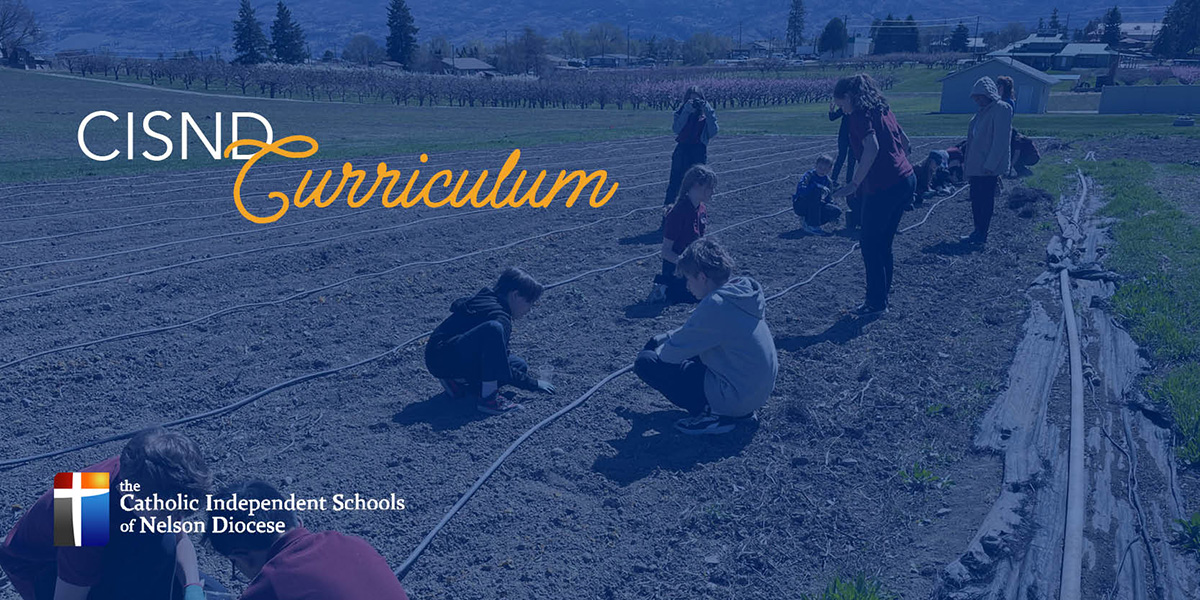 Curriculum Banner