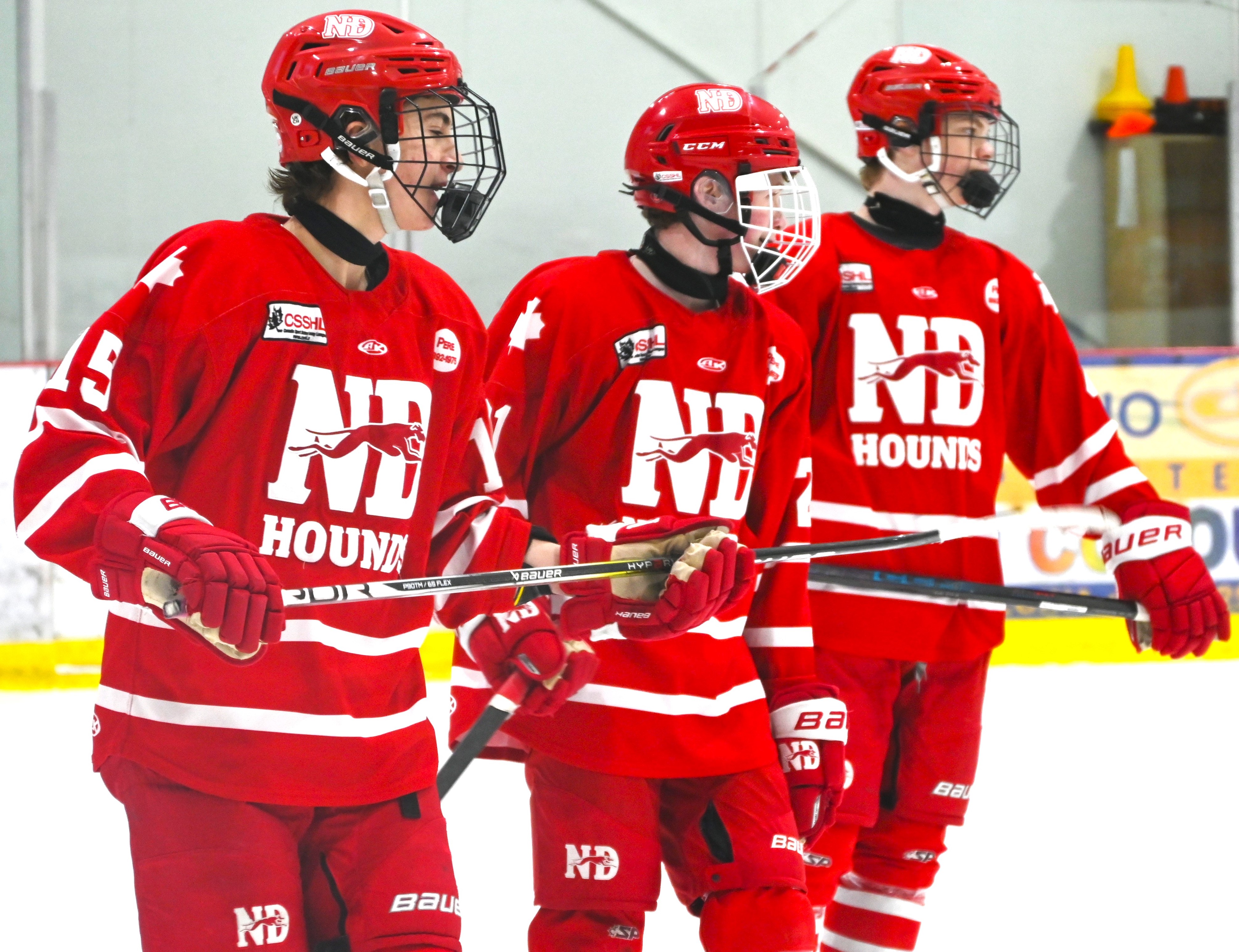 hockey program