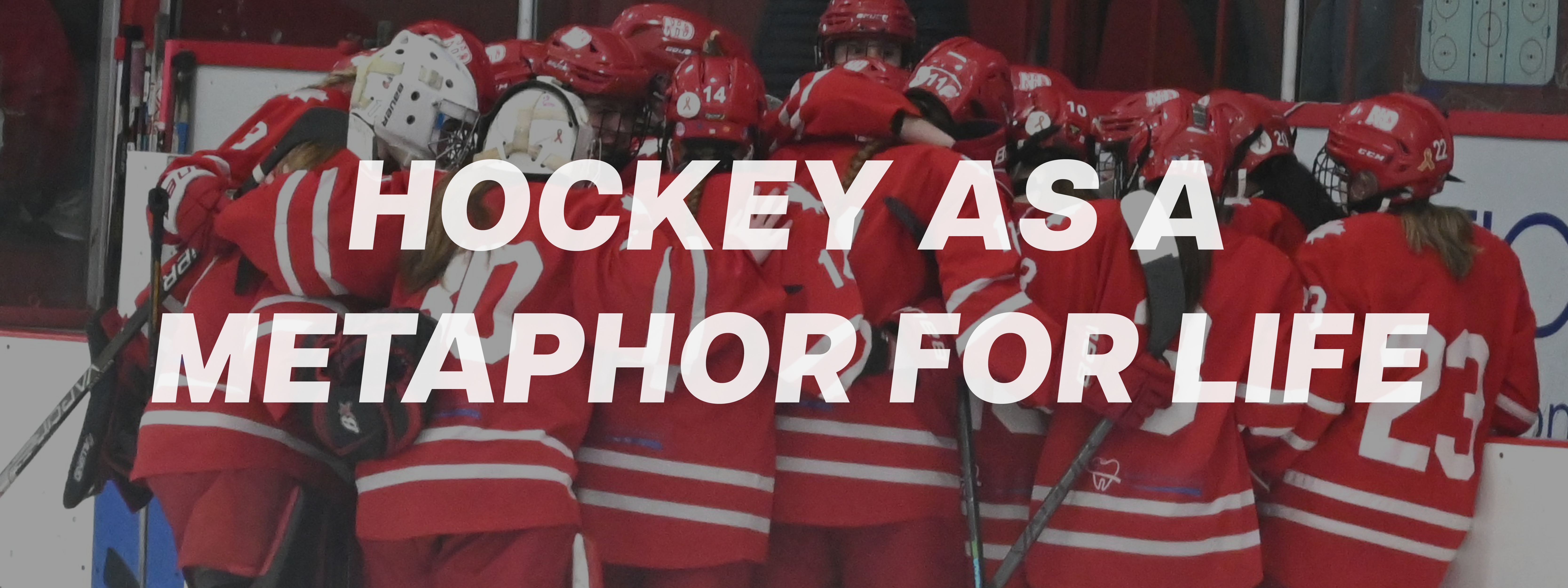 Hockey banner