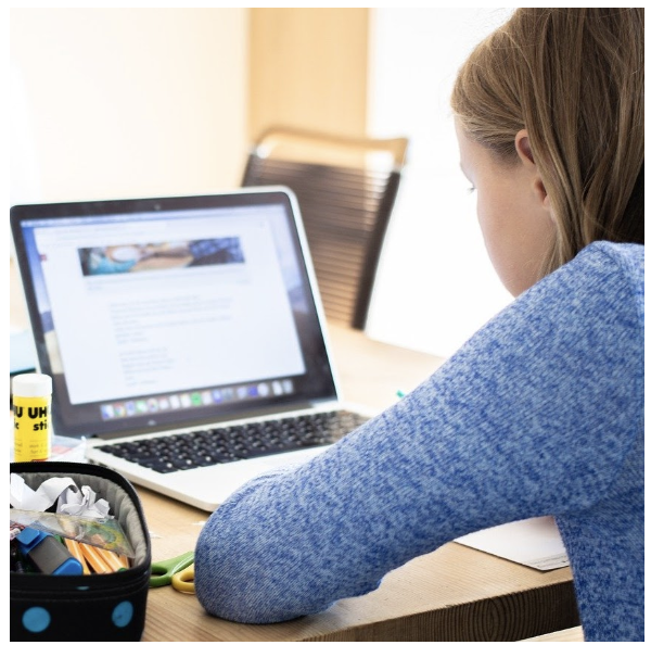 girl looking at computer