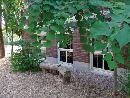 School Ground Greening building