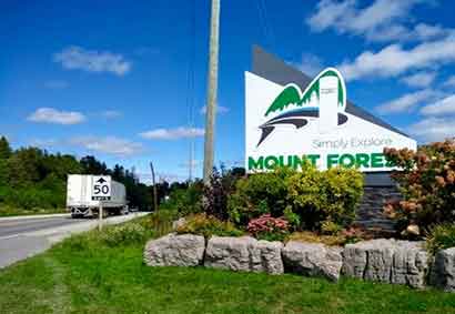 Mount Forest