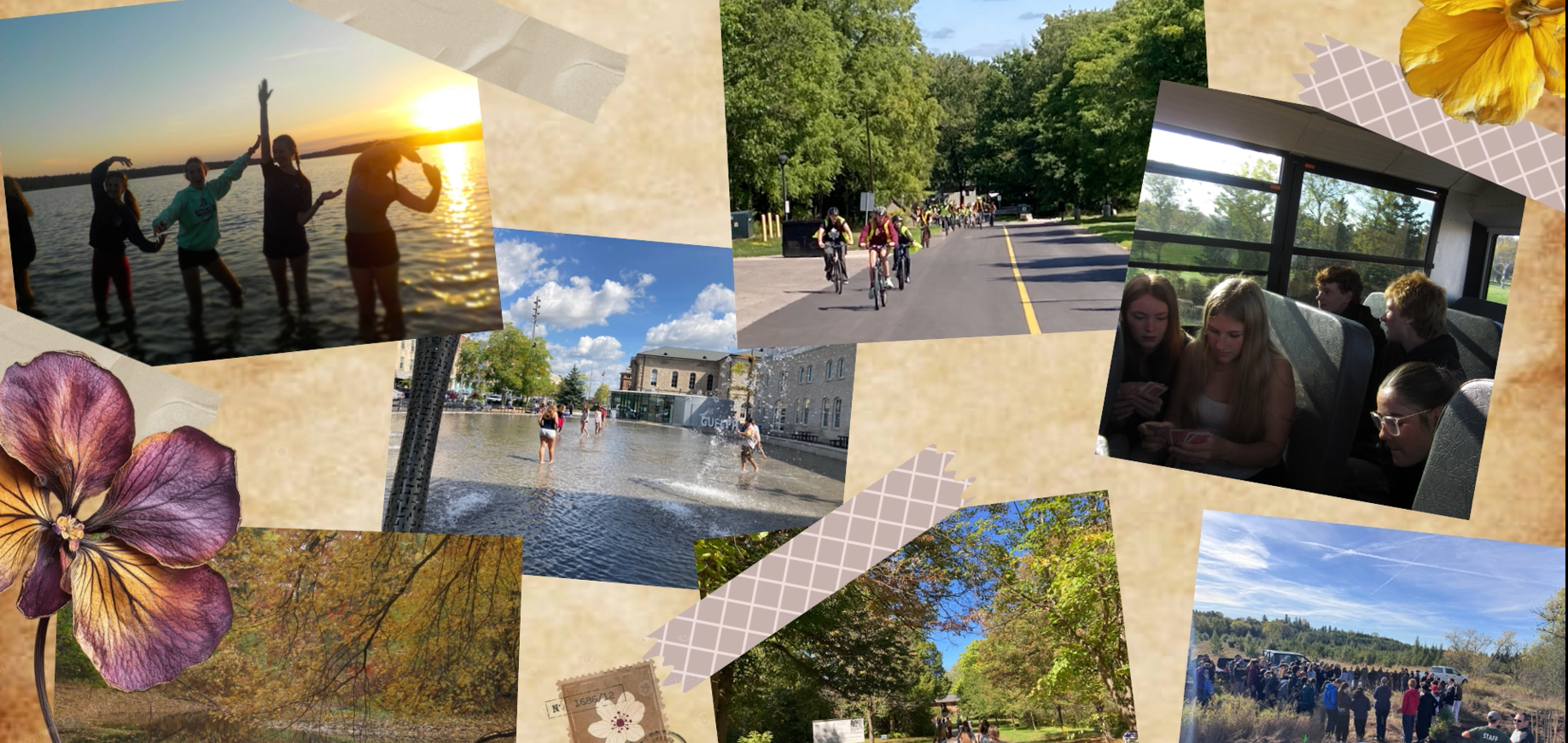 Learn about CELP 2025 watch video here