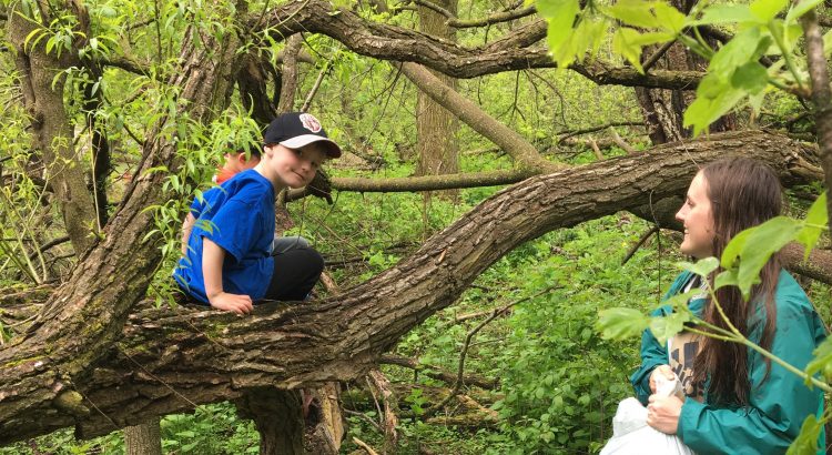 kids out in the forest