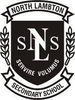 NLSS Logo