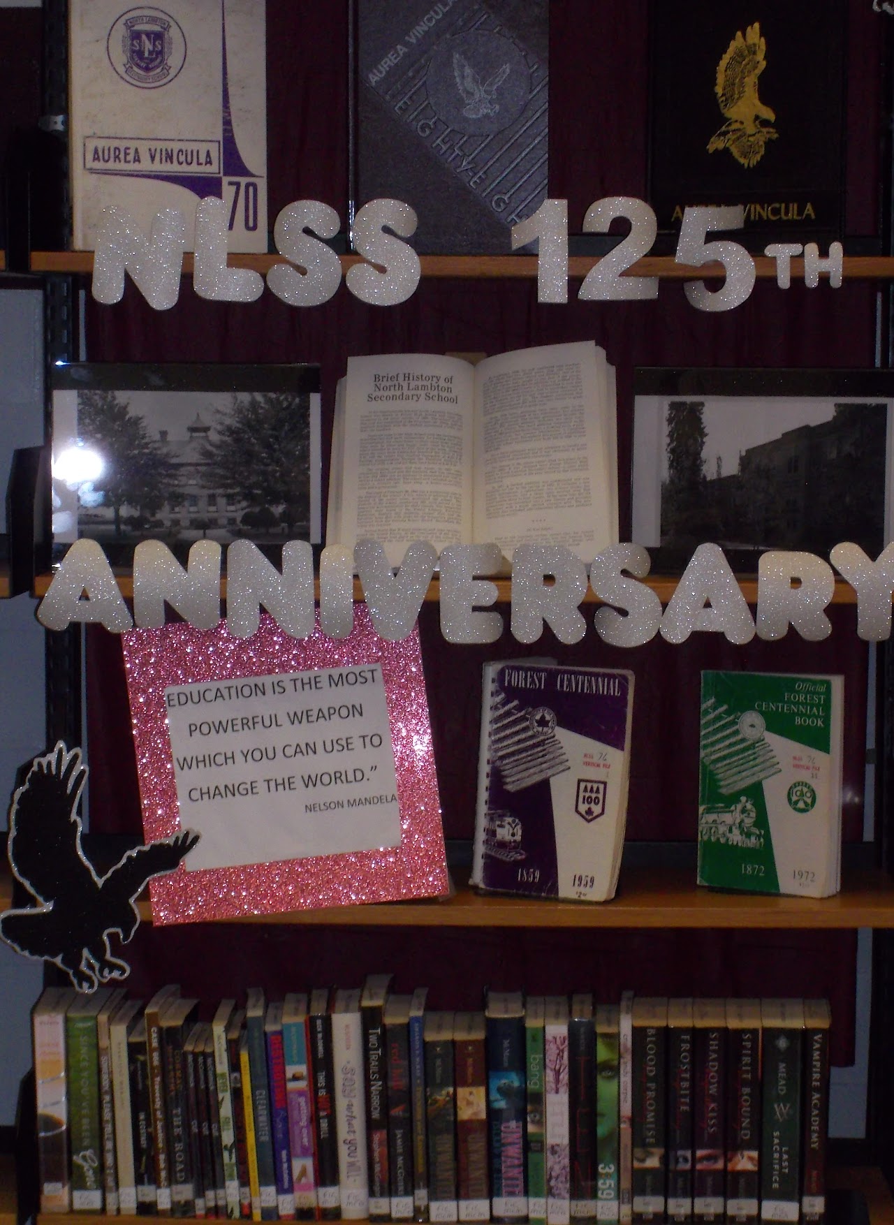 nlss 125th annyversary sign