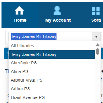 Screenshot of the site menu in Insignia with Terry James Kit Library selected