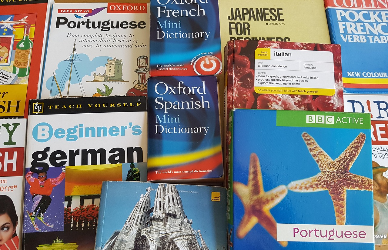 Photo of several bilingual dictionaries