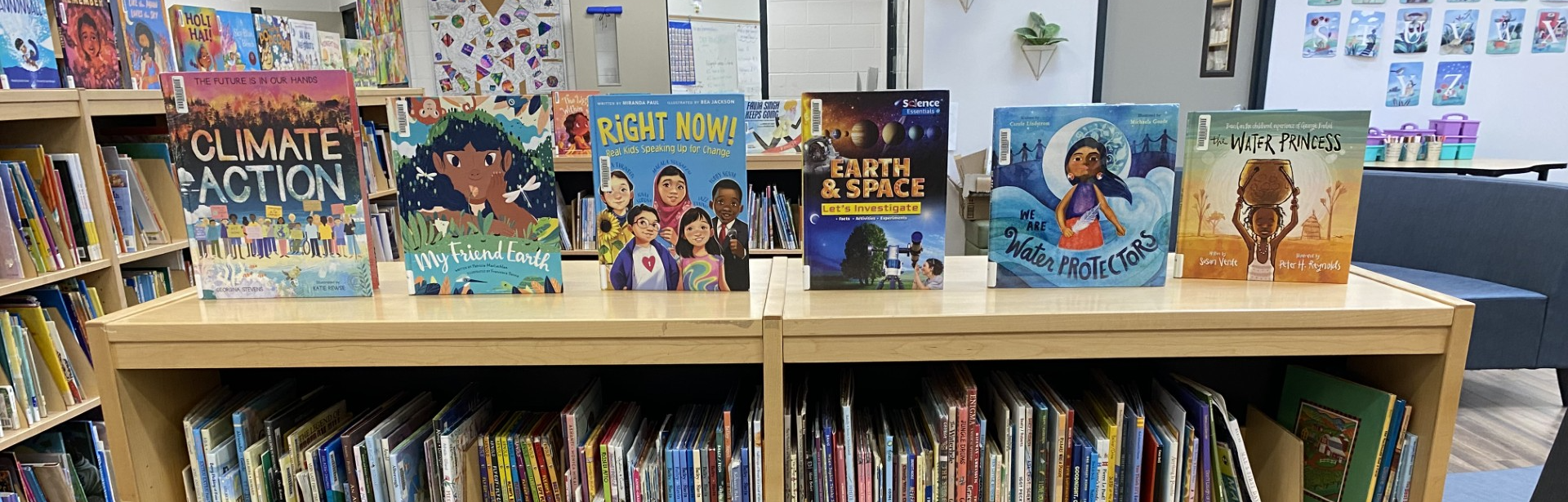 Bookshelves with colourful picture books displayed